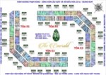 Bán gấp CHCC The Emerald CT8 Mỹ Đình, 1212-E3: 77,7m2 & 1202-E1: 80m2, 31tr/m2. Lh 0963.920.284