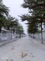 CC cần bán căn LK 79,3m2, tại dự án Westpoint Nam 32 - Trạm Trôi - Hoài Đức - Hà Nội, giá đầu tư