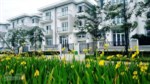 Biệt thự khu K Ciputra, DT 324m2 x 3 tầng, MT 12m, giá 38.8 tỷ, nhận nhà ngay, SĐCC, LH 0969512536