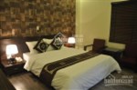 Nhà biệt thự Vườn Đào, Tây Hồ, 176m2, MT: 10m. Ô tô 7 chỗ tránh chạy vòng quanh, biệt thự đáng sốn