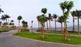 Bán suất ngoại giao đất nền mặt biển Hạ Long 0917551183