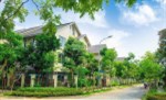 Biệt thự Sunny suất ngoại giao căn góc view công viên 210m2 - xây 3,5 tầng - LH: 0981.843.699