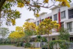 Chính chủ bán liền kề 120m2, có sổ đỏ, chỉ 9.9 tỷ, Đông tứ trạch. Liên hệ xem nhà 0834 812 333