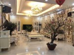 Bán biệt thự lô góc VIP nhất Tây Nam Linh Đàm. Diện tích 287,5m2, mặt tiền 15m, LH: 0989864579