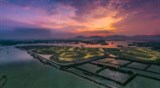 Đất nền nghỉ dưỡng ven biển MarineCity vị trí độc tôn giáp 3 mặt biển giá chỉ 15tr/m2.