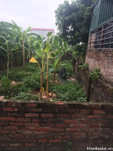 Cần bán gấp mảnh đất tổ 13 Yên Nghĩa, 42m, 880tr, LH 0906223933