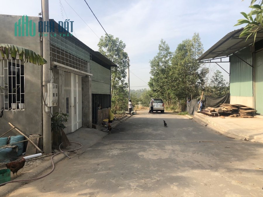 Bán gấp đất phường Tam Phước, Tp.Biên Hòa