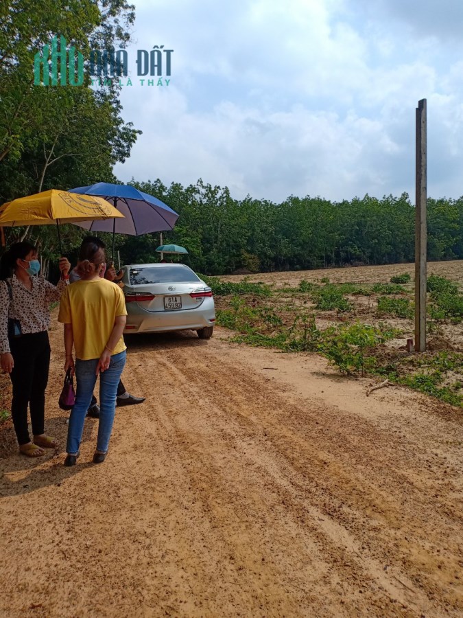 Cần bán đất SHR xã Định An, Dầu Tiếng, Bình Dương có hỗ trợ trả góp