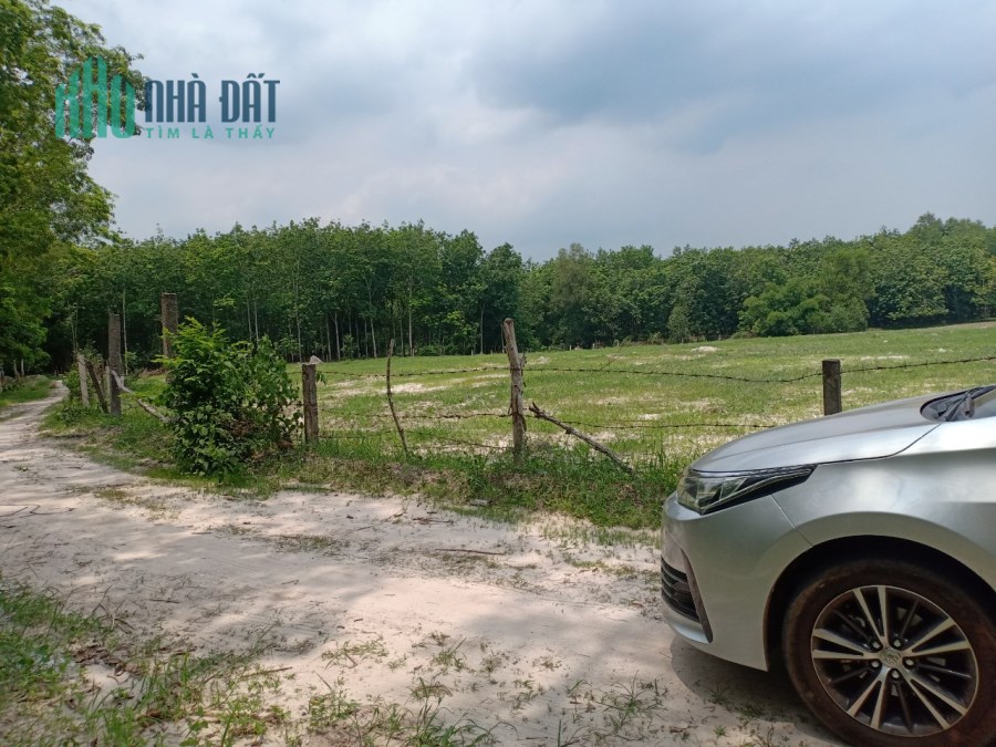 Đất Định An Dầu Tiếng 1000m2 350tr