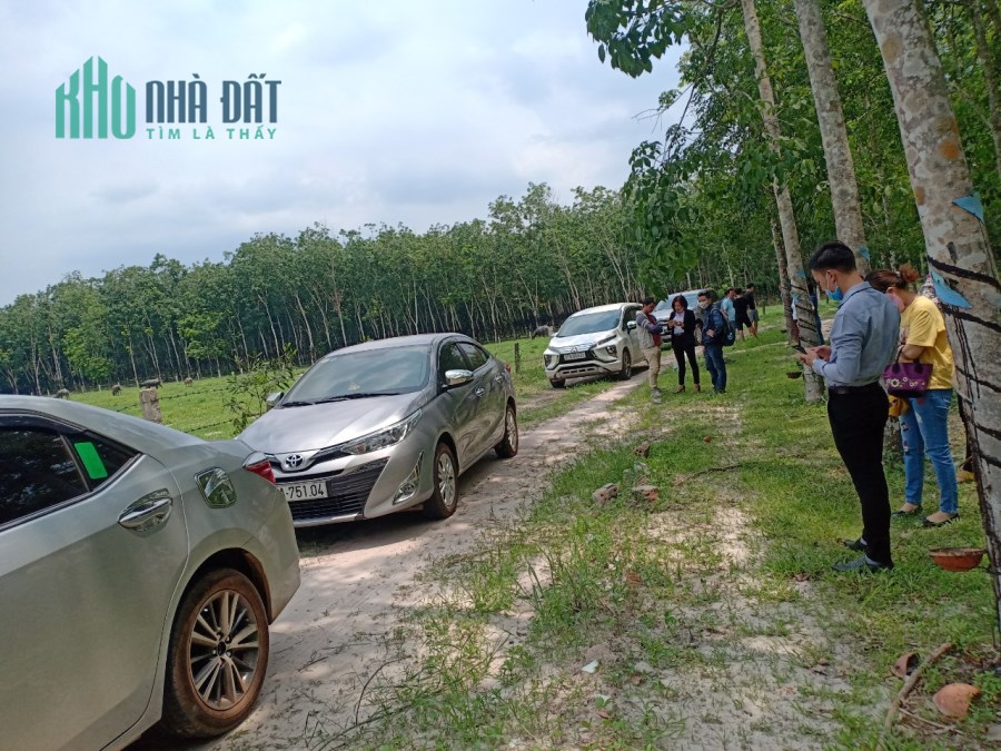 Đất Định An Dầu Tiếng 1000m2 380tr