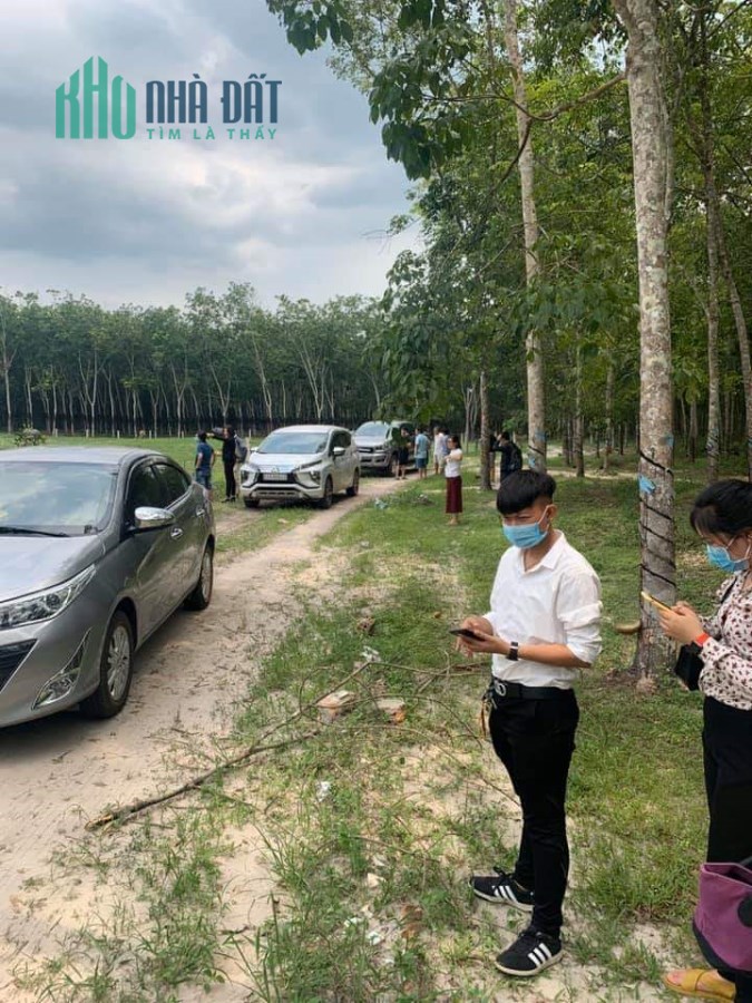 Đất sào Dầu Tiếng sổ hồng riêng 1500m2. Đã có thổ cư hỗ trợ ngân hàng tại xã Định An.