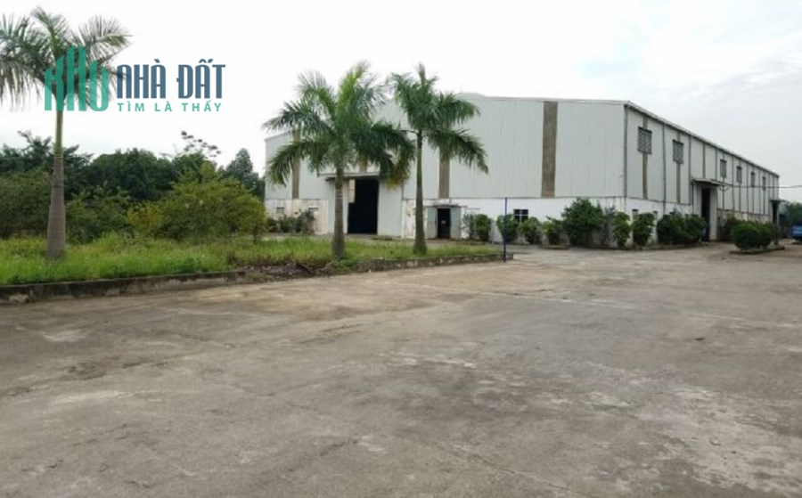 Bán nhà xưởng tại Mỹ Hào Hưng Yên 7000m khuôn viên đất 1,5ha