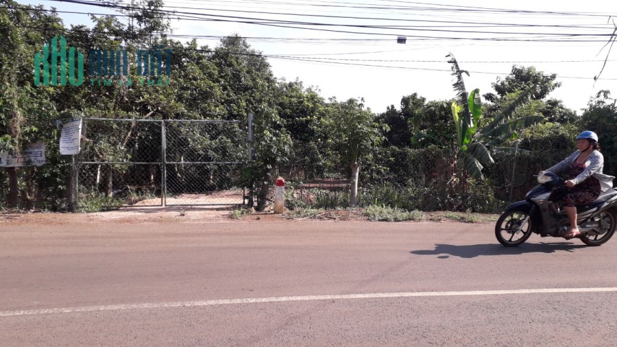 Bán gấp lô đất vườn bơ mặt tiền Xuân Tây Bảo Bình, x.Bảo Bình, Cẩm Mỹ