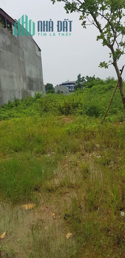 Cần bán nhanh 2lô đất gần viện A vào 300m đất đồi ko tốn móng