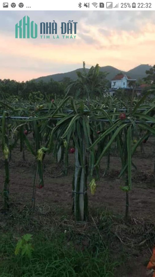 BÁN MẢNH ĐẤT Vinh Sơn Tp.Sông Công