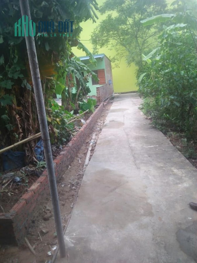 Em bán gấp lô đất ngay gần công ty sam sung Thái Nguyên