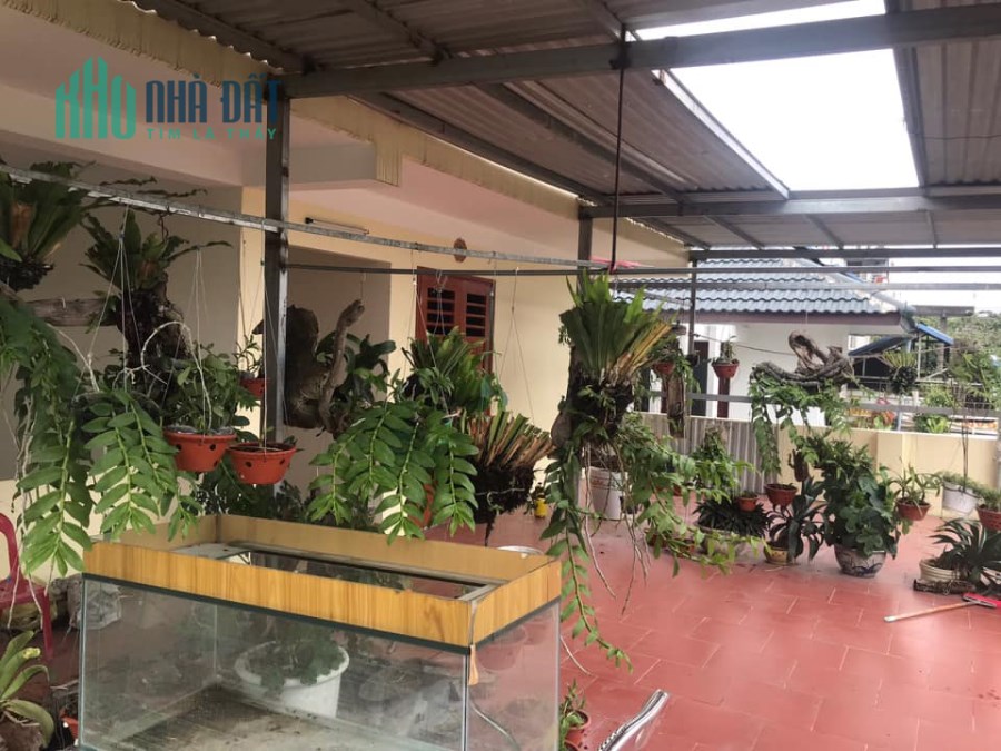 BÁN NHÀ 2.5 TẦNG PHƯỜNG TRƯNG VƯƠNG