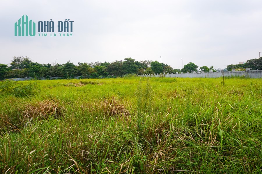 Bán 4000m2 đất cụm công nghiệp Ninh Hiệp, Gia Lâm, HN