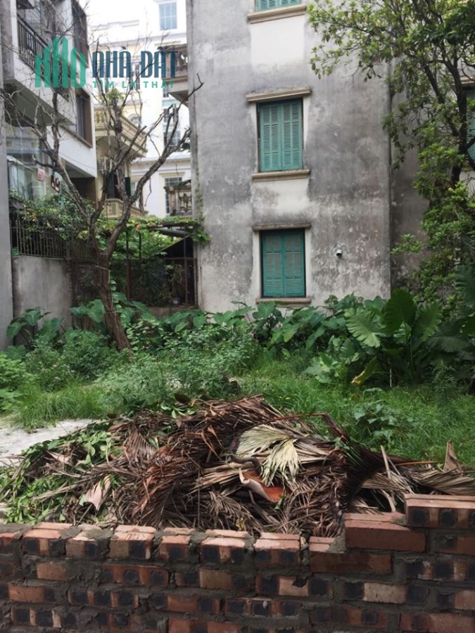 Cần bán đất ngõ 71 Nhật Chiêu, Nhật Tân, Tây Hồ, ô tô vào nhà,86m2,mt 6,2m, chỉ 92 triệu/m2
