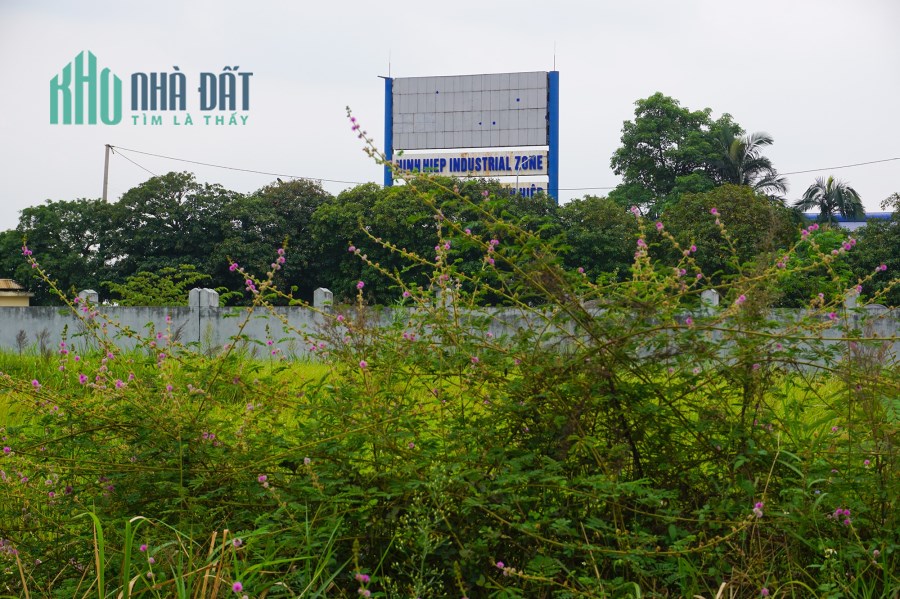 Bán đất công nghiệp mặt đường đôi KCN Ninh Hiệp, Gia Lâm, Hà Nội. Lô góc 3 MT, dt 15.000m2