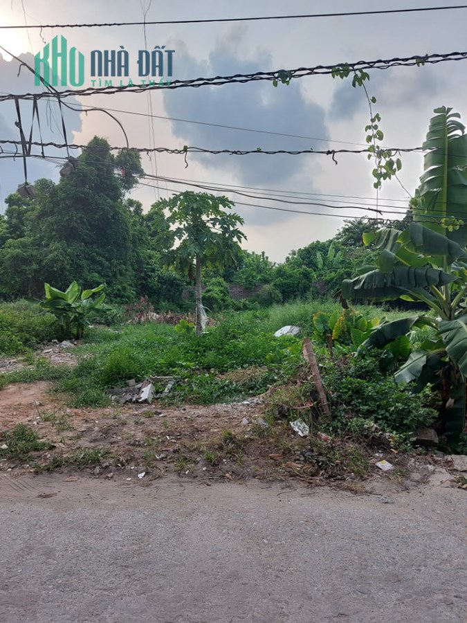 Bán đất nhanh Thôn LỄ PHÁP XÃ TIÊN DƯƠNG- ĐÔNG ANH 0387964442