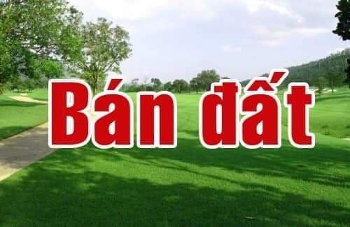 Phố Tứ Liên Tây Hồ, dt 100m, Đất, mt hơn 5m, nhỉnh 7 tỷ