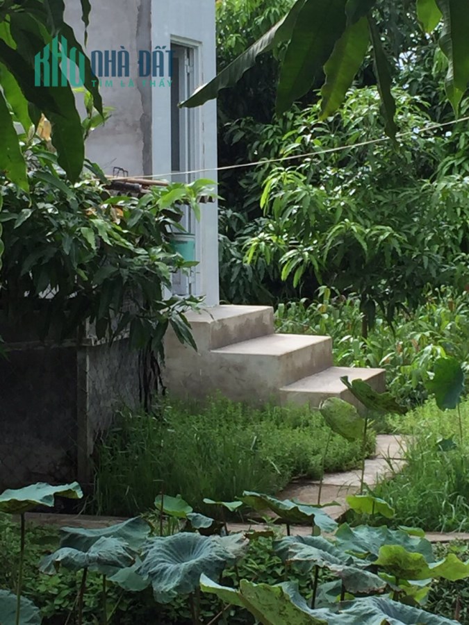 CHO THUÊ MẶT BẰNG KINH DOANH DÀI HẠN NGAY PHÚ RIỀNG ĐỎ, PHƯỜNG TÂN BÌNH, TRUNG TÂM TP. ĐỒNG XOÀI,