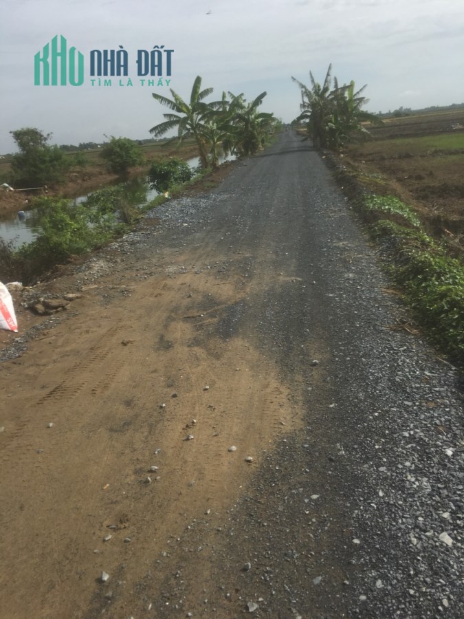 Bán đất Tân Điền, Gò Công Đông, Tiền Giang: 60 x 47, giá: 1,35 tỷ