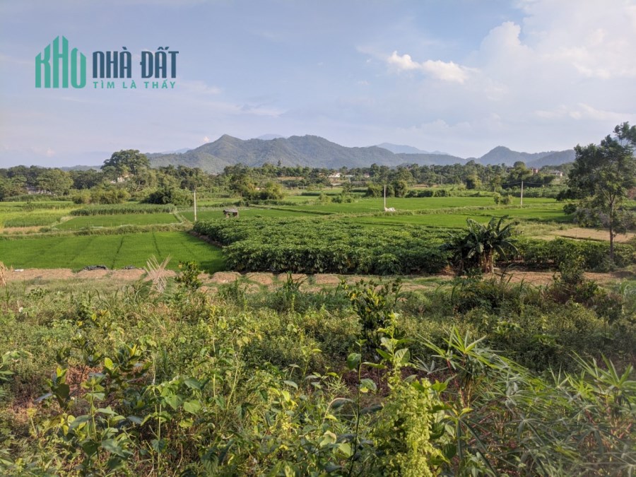 BÁN ĐẤT NGHỈ DƯỠNG 13880M2 CHÍNH CHỦ XẪ BẮC SƠNSÓC SƠN