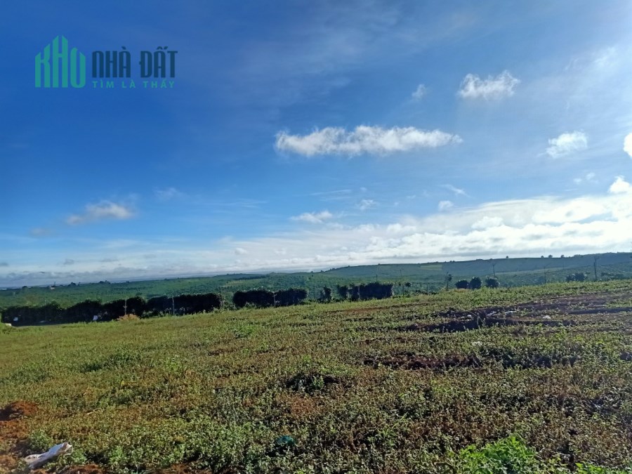 Bán Nhanh Lô Đất Xã ĐamBri Thành Phố Bảo Lộc
