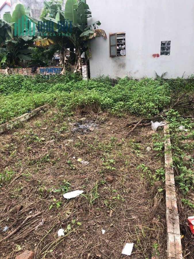 Bán đất trong đê Đông Dư, Gia Lâm ngay trung tâm DT 52m2 giá 28tr/m2. LH 0983253436