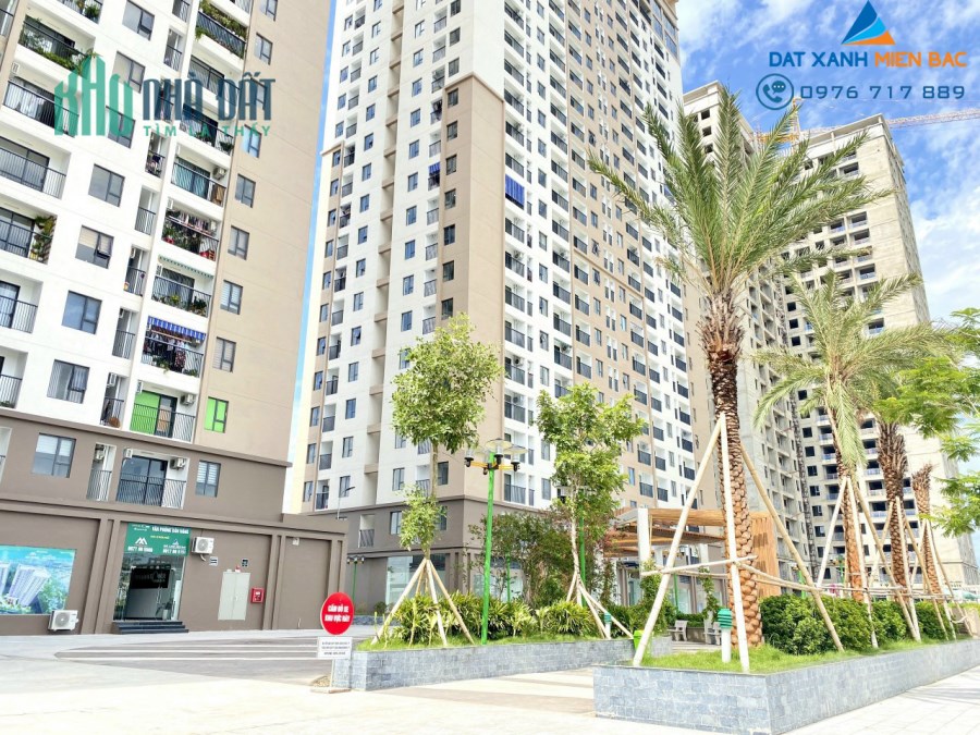Căn hộ chung cư Xuân Mai Tower Thanh Hóa đón Tết chỉ với 250 triệu.