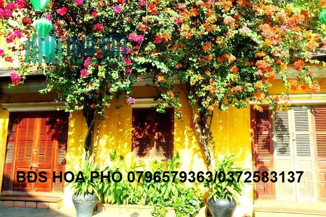 2021 - Nhà cực Rẻ 96m2 - 3.5 TỶ + HĐ thuê 12 tr/tháng - trung tâm Quận 5