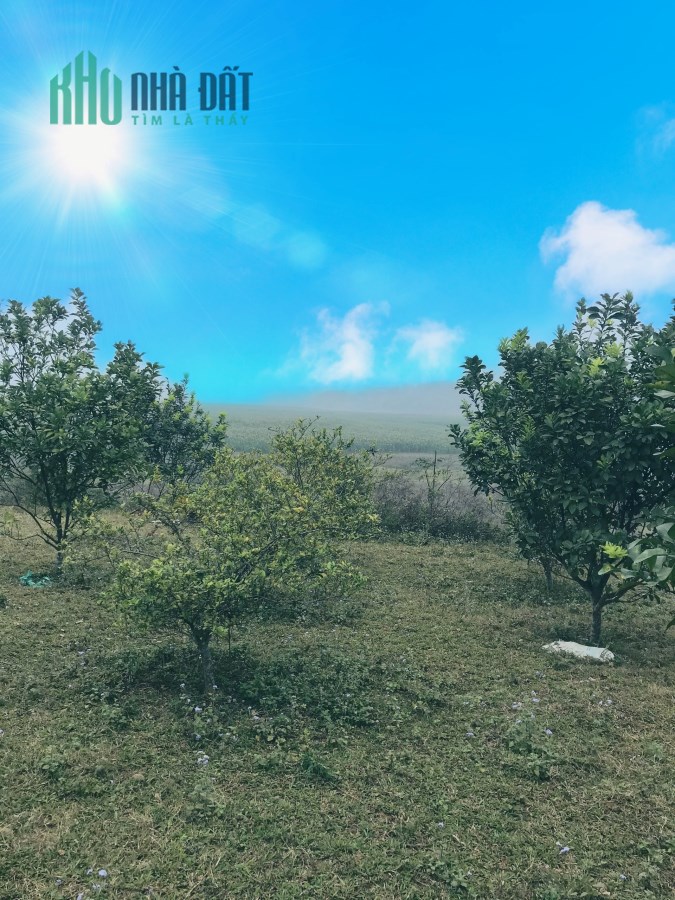 Bán lô đất sổ đỏ siêu đắc địa có tương lai sáng tại Mỵ Hòa - Kim Bôi - Hòa Bình