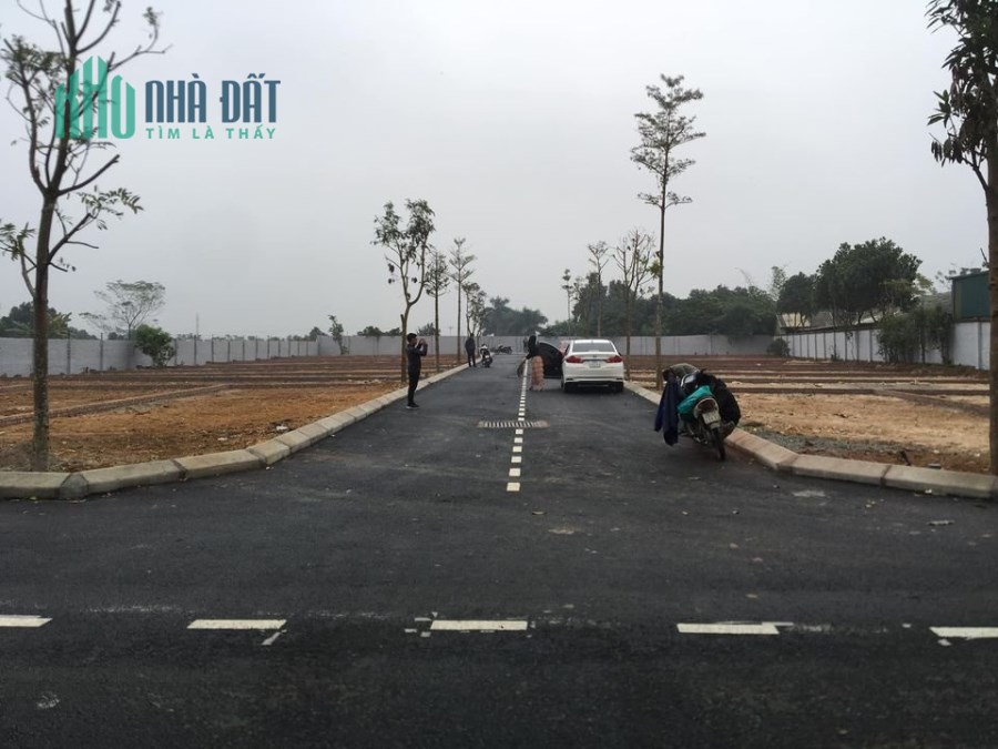 Bán đất tại thị trấn Ngô Đồng,Giao Thủy,Nam Định,390m2,mt 12.6m,giá 12 triệu/m.