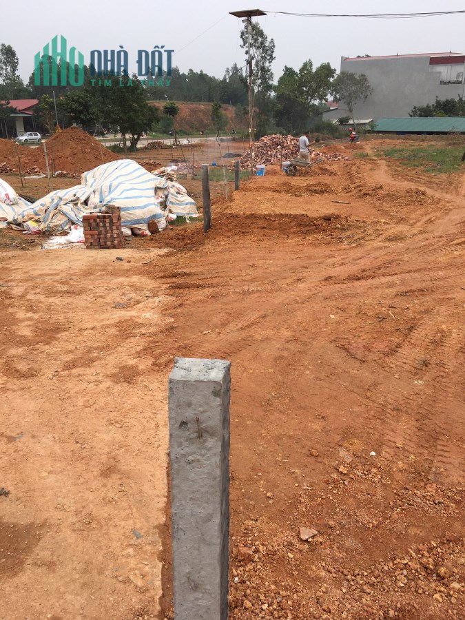 Bán lô đất 2520m2 tại Hoàng Hoa, Tam Dương, Vĩnh Phúc, giá đầu tư hấp dẫn