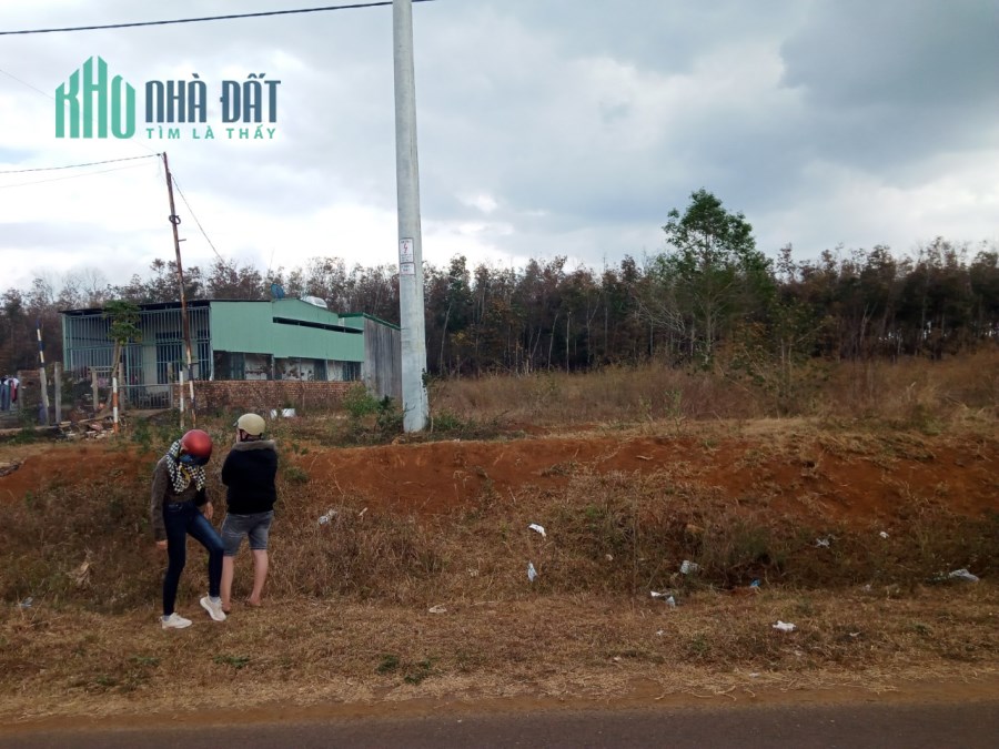 Tôi cần bán đất MT đường Phan Đình Phùng nối dài TT Phú Hòa, ChưPăh