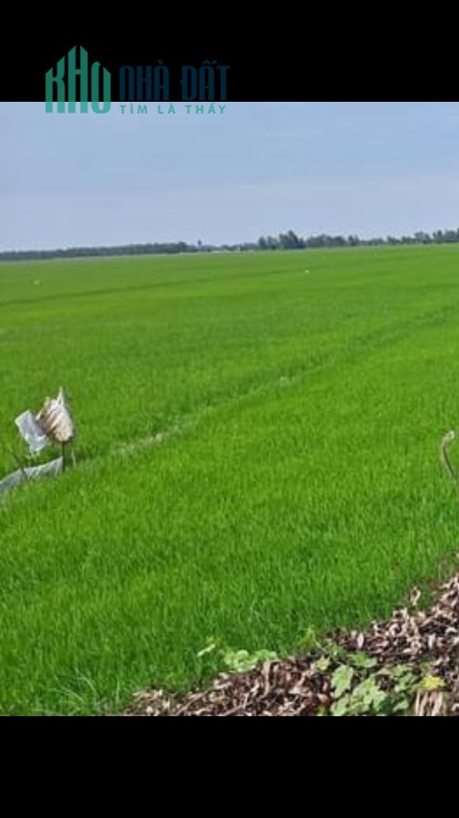 Cần Bán Đất Khu Vực Tràng Thọ B Phường Trung Nhứt Quận Thốt Nốt