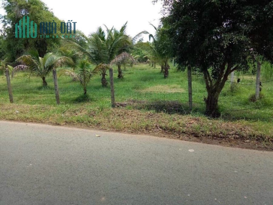 Bán đất mặt tiền Đoàn Minh Triết, Thái Mỹ, Củ Chi