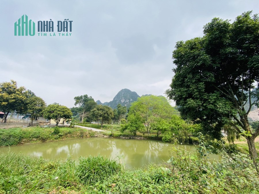 Bán đất cực phẩm 1,5ha giá vài trăm nghìn/met tại Liên Sơn-Hòa Bình