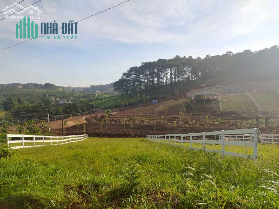 Nhanh tay booking để giữ lô vị trí đẹp