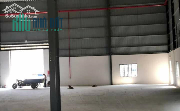 Cần cho thuê 1060m2 kho tại Q9, Đường xe cont đi, gần Tăng Nhơn Phú