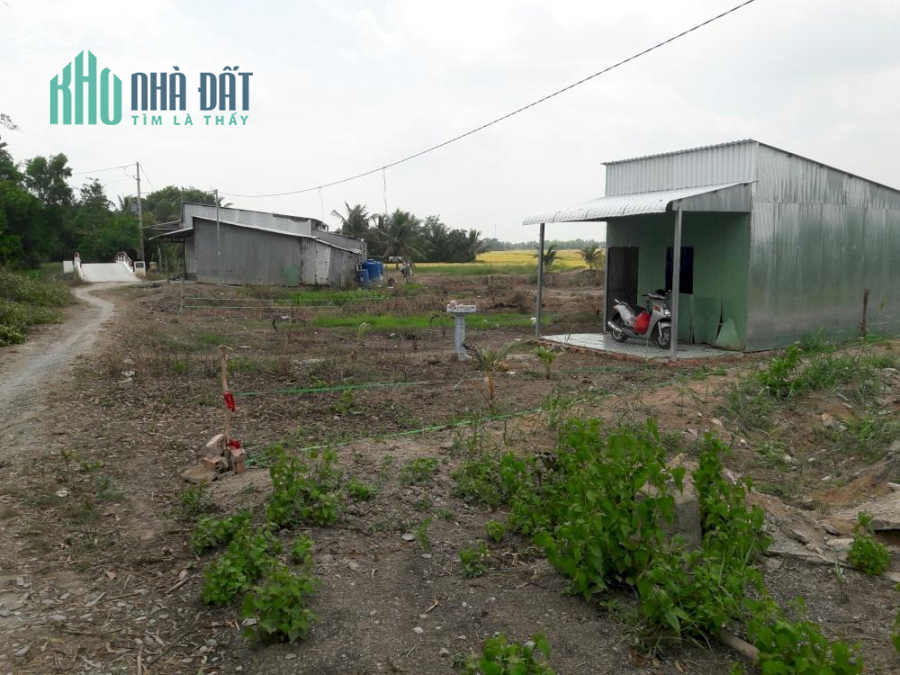 Sang đất Khu dân cư ấp Tân Bình xã Giục Tượng