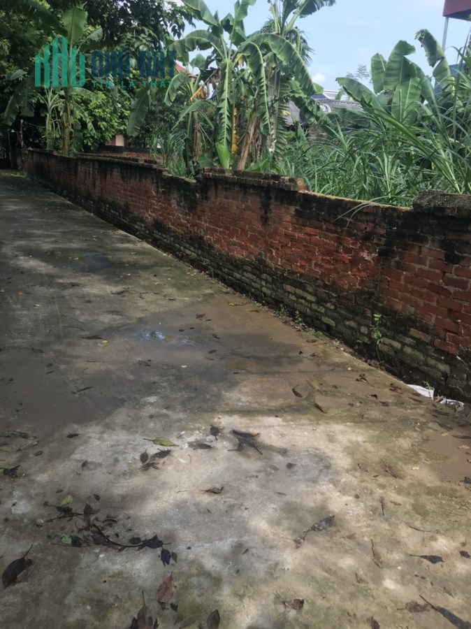 Bán Đất Thổ Cư 600m_Đường ô tô_Gần Chợ Lập Trí Minh Trí Sóc Sơn