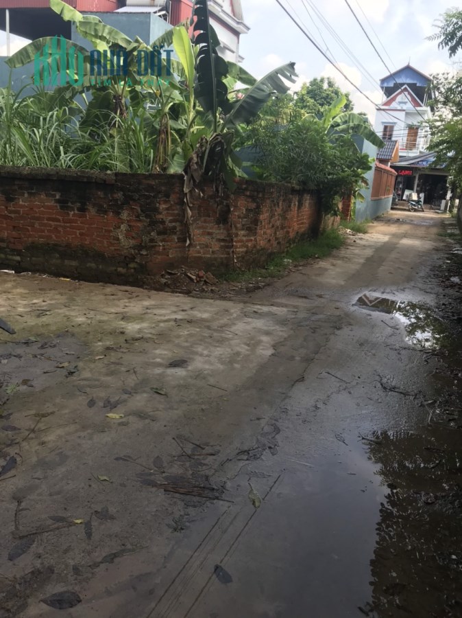 Bán Đất Thổ Cư 200m Lô Góc, Đường Ô Tô, Gần Chợ Lập Trí, Minh Trí, Sóc Sơn.