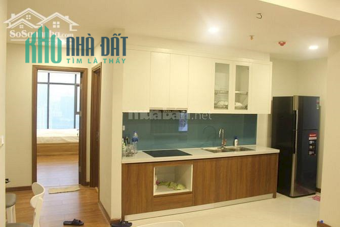 Chính chủ cho thuê căn hộ chung cư 219 Trung Kính Cầu Giấy