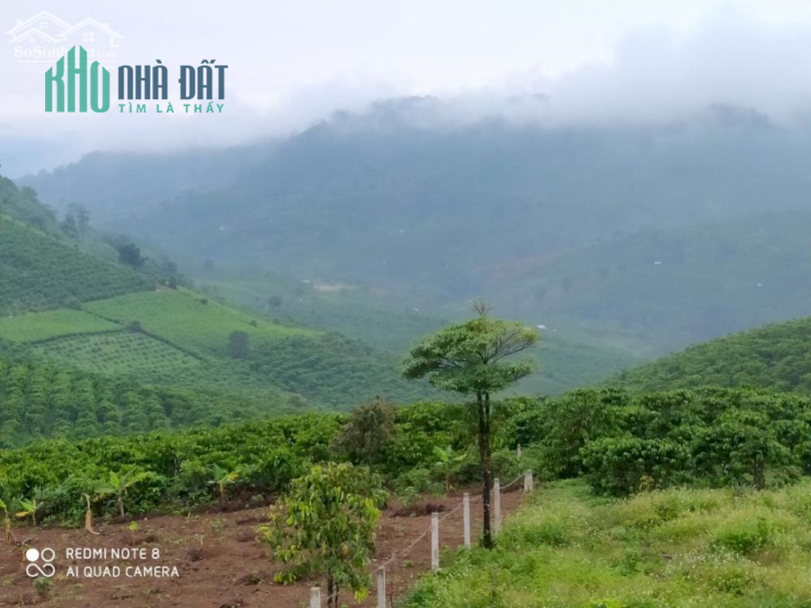 Chỉ 3tr sở hữu ngay 1m2 biệt thự Hoàng Gia cực kỳ đẳng cấp giữa trung tâm TP Bảo Lộc.