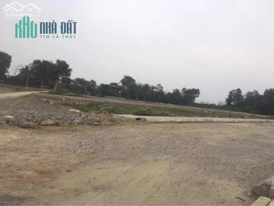 yên đinh mở bán đất nền yên ninh