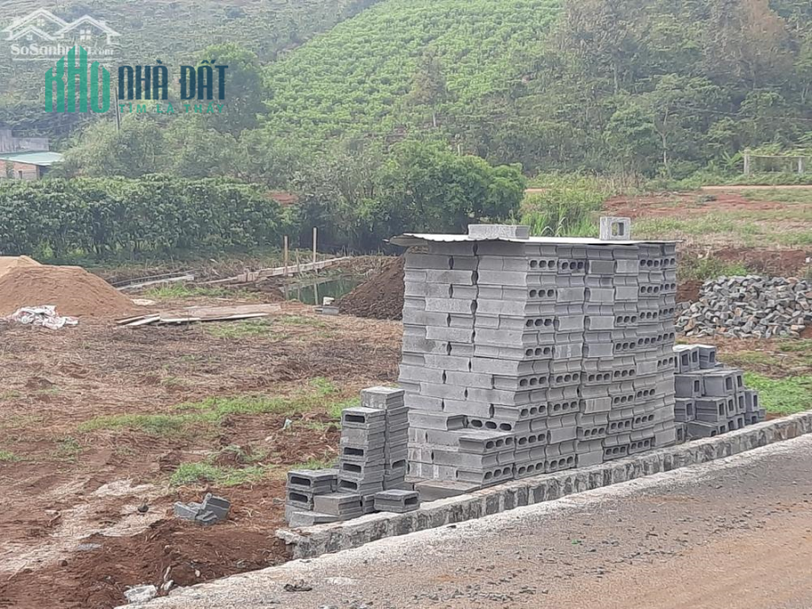 Tặng 200.000 viên gạch và 2 tấn xi măng cho khách hàng xây dựng trước 1/6/2021.