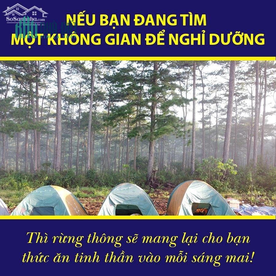 Đất nền nghỉ dưỡng view rừng thông